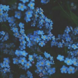 Meet your Posher, Julia